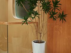 -瑶舍头疗·瑶浴·芳香热石SPA(五洲国际店)