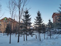 -长白山万达国际滑雪场