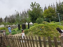 -上海长兴岛郊野公园