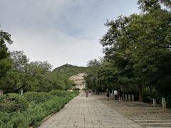 -府君山公园