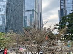 -奈雪的茶(领展中心城店)