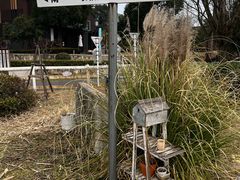 -天目湖涵田度假村