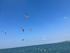 -海驴岛(荣成市)