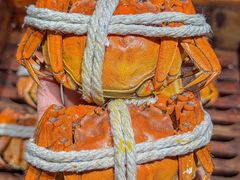 -铭门盛宴·艺术海鲜姿造(福田黑金店)