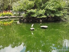 -昆明动物园