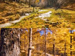 -苏木山森林公园