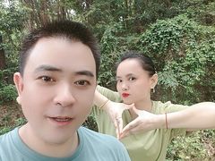 -铁山坪森林公园