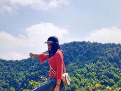 -南山植物园