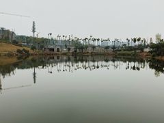 -枫香湖儿童公园