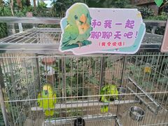 -南宫五洲植物乐园