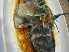 清蒸石斑鱼-沙田轩(古北店)