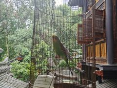 -鱼桥巷·美学川菜