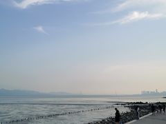 -深圳湾公园(南山区)