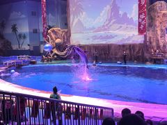 -华夏文旅海洋公园