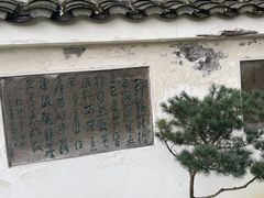 -南山植物园