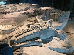 -自贡恐龙博物馆