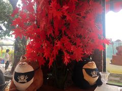 -柴犬高等学院·狗咖·柴犬售卖·宠物训练