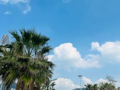 -大梅沙海滨公园