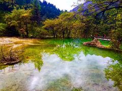 -黄龙山原始森林景区