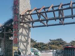 -塘沽森林公园