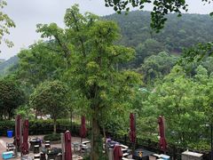 -楠柏弯休闲山庄(梨花溪店)
