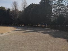 -井之头恩赐公园