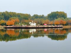 -东郊湿地公园
