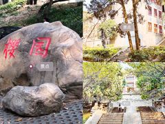 -武汉大学-樱园
