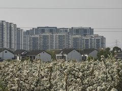 -树山生态村