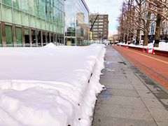 -札幌电视塔