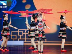 -武汉音乐学院徐东基地