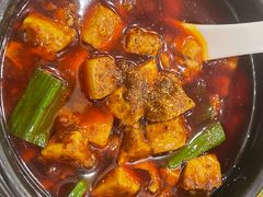 -陈麻婆豆腐总店