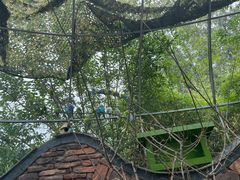 -合肥滨湖国家森林公园