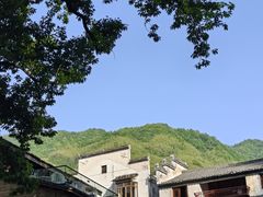 -石台牯牛降景区