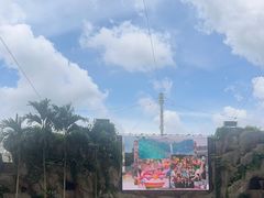 -新加坡飞禽公园