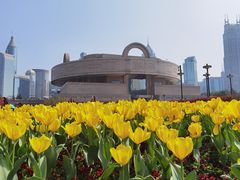 -上海博物馆(人民广场馆)