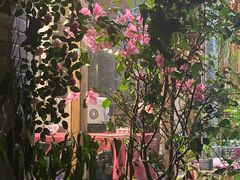 -小洲村