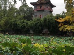 -四川大学(华西校区)