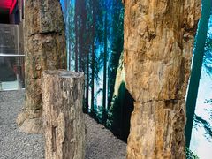 -延庆地质公园博物馆