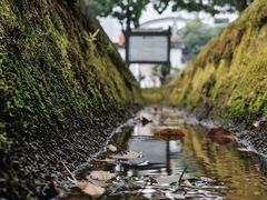 -羊楼洞