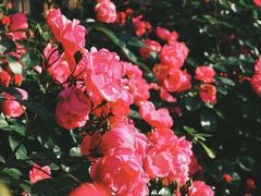 -重庆雨台山风景区