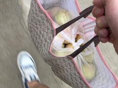 -合肥野生动物园