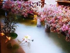 -叶叶菩提·晋福宫