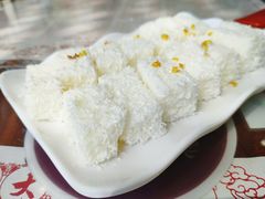 -周大娘牛乳(旧寨古村总店)
