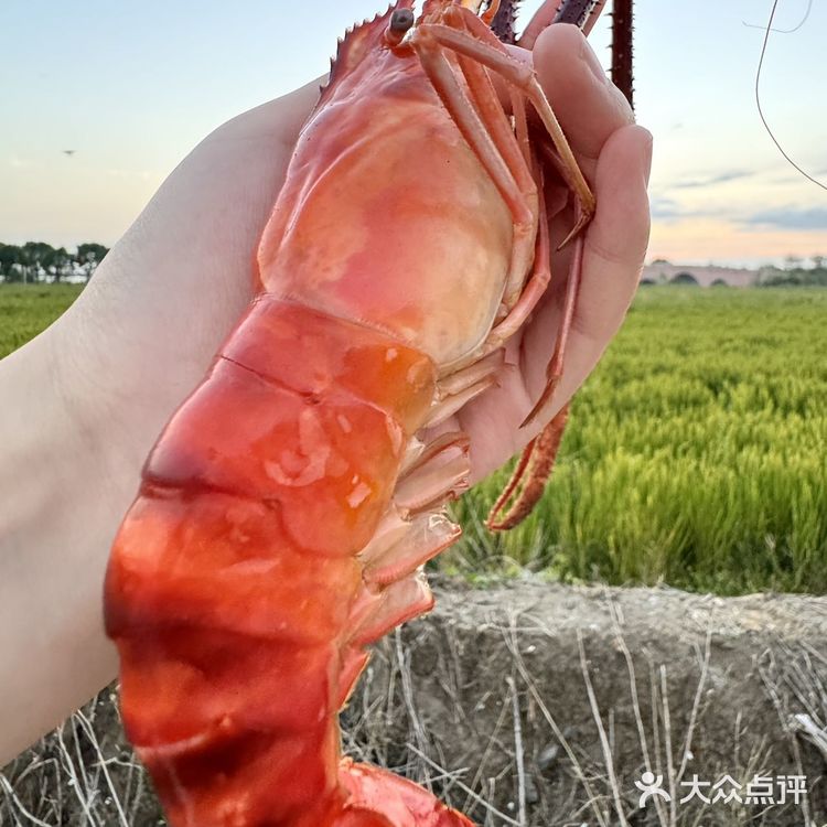 私藏美食 | 苏州美食新据点