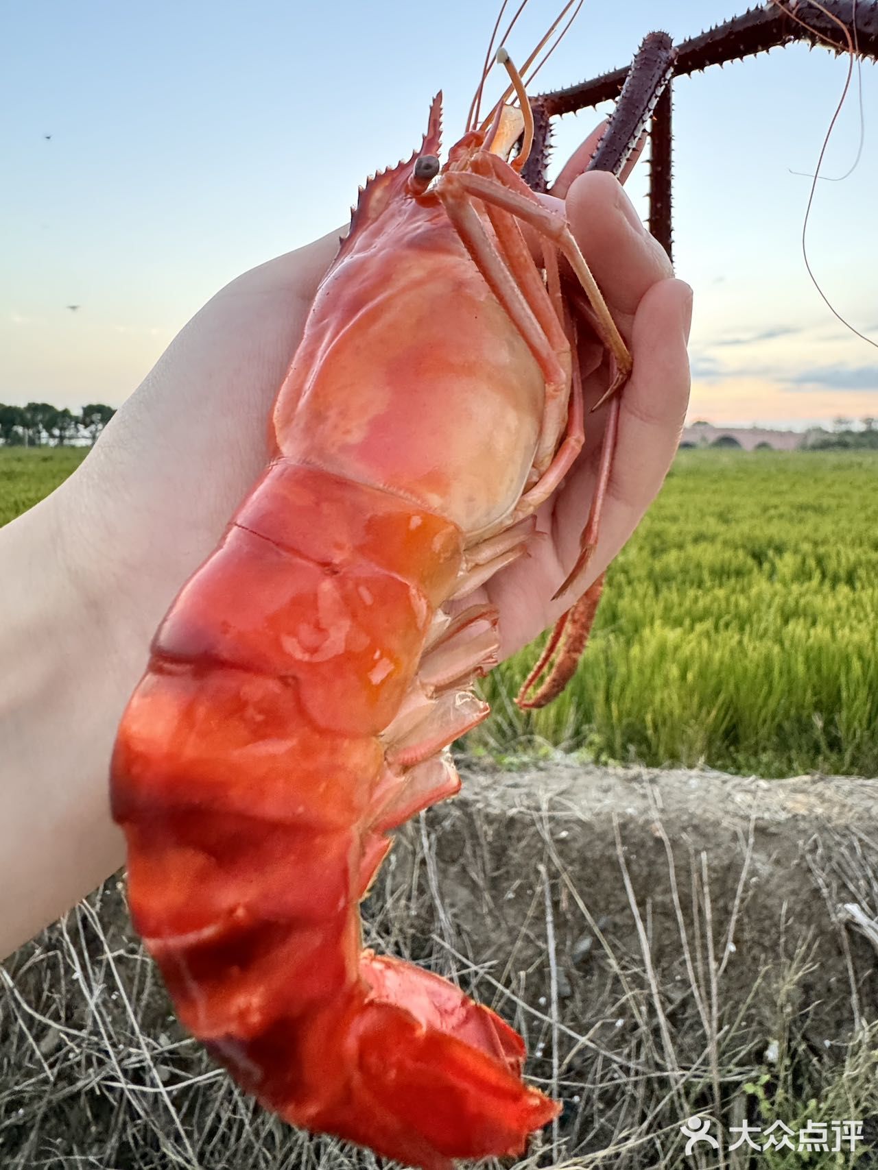 私藏美食 | 苏州美食新据点