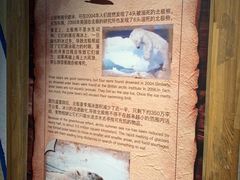 -大连圣亚海洋世界