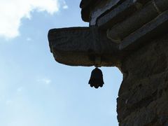 -白水寺森林公园