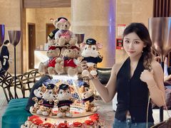 -南京禄口机场雅高铂尔曼大酒店