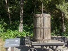 -北京张裕爱斐堡酒庄